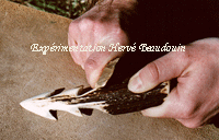travail du bois de cerf, expérimentation Hervé Beaudouin (fabrication d'un harpon néolithique)